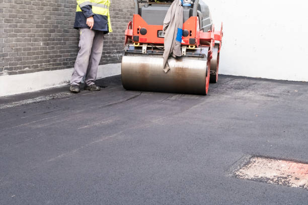 Trusted Gaylord, MN Driveway Paving Services Experts